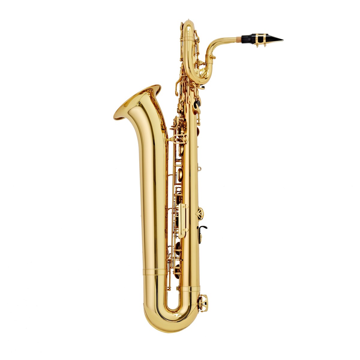 Photo of a baritone saxophone, which resembles the Diplomoceras in shape.