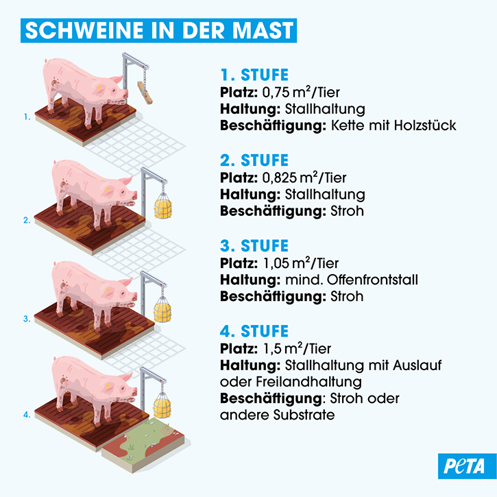 Auflistung der marginalen Unterschiede zwischen den Stufen der Tierhaltung