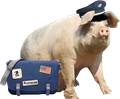 hog-post