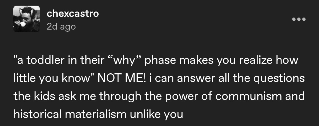 Tumblr post by user chexcastro reading "a toddler in their 'why' phase makes you realize how little you know" NOT ME! i can answer all the questions the kids ask me through the power of communism and historical materialism unlike you