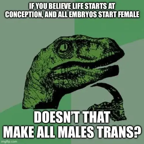 if you believe life starts at conception, and all embryos start female doesn't that make all males trans?