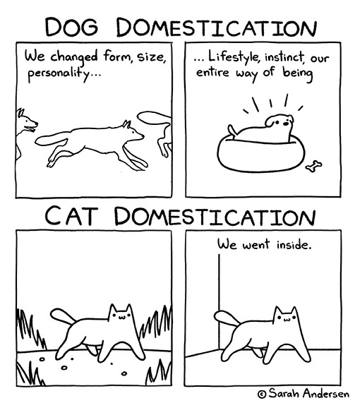 Domestication Comic