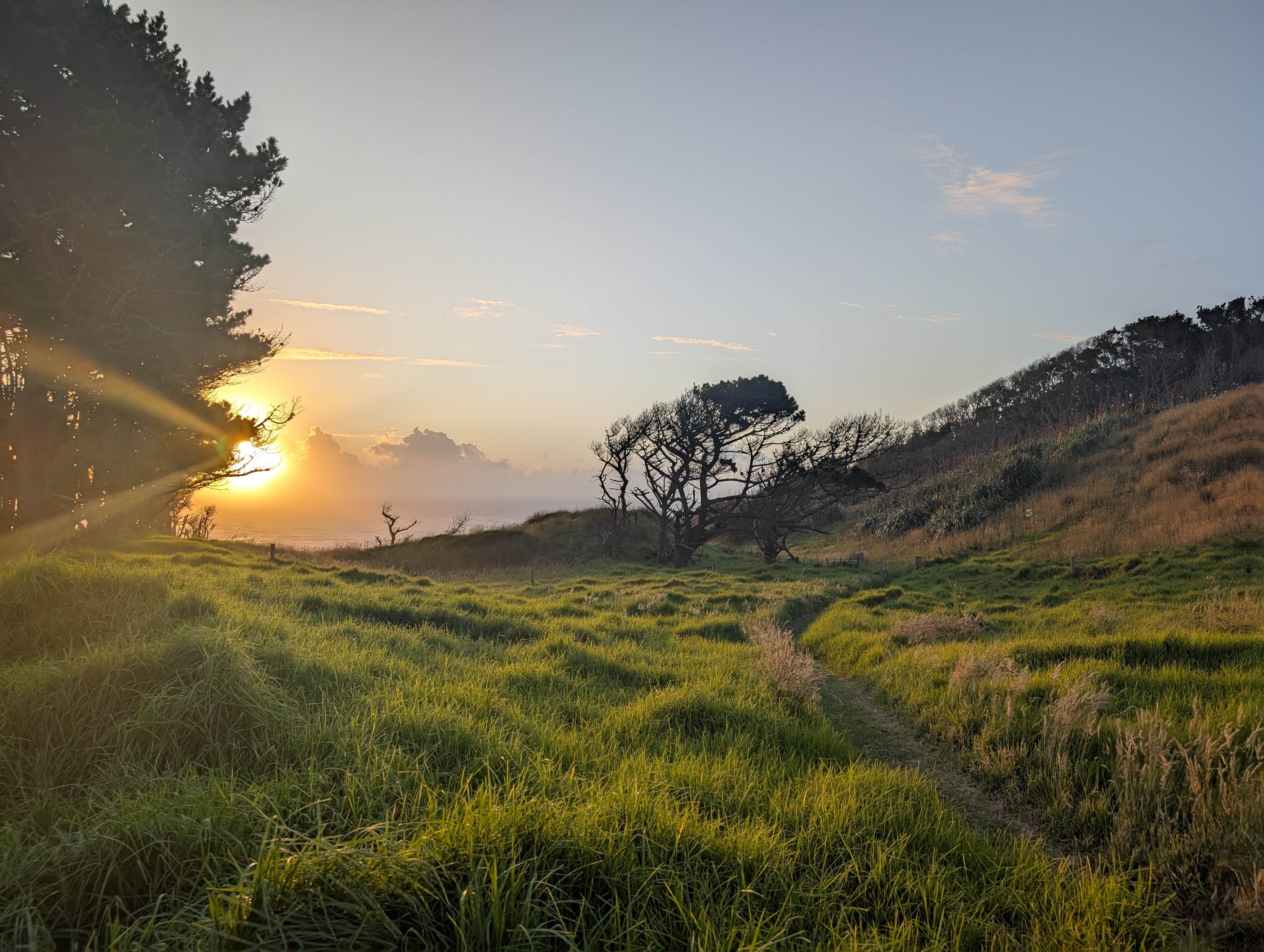 Taken from the Waikato coast, New Zealand, with a Pixel 8 Pro.