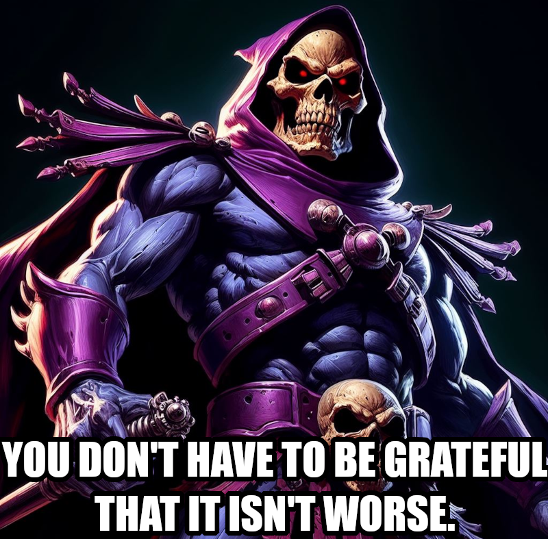 Skeletor meme with the text: "You don't have to be grateful that it isn't worse."