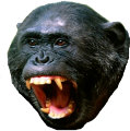 monke-rage