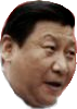 xi-pog