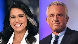 Tulsi Gabbard and RFK Jr. added to Trump transition team | CNN Politics