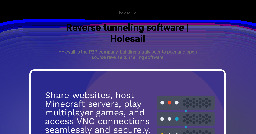 Reverse tunneling software | Holesail
