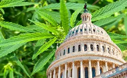 House Lawmakers Introduce Bipartisan Marijuana Legalization Bill