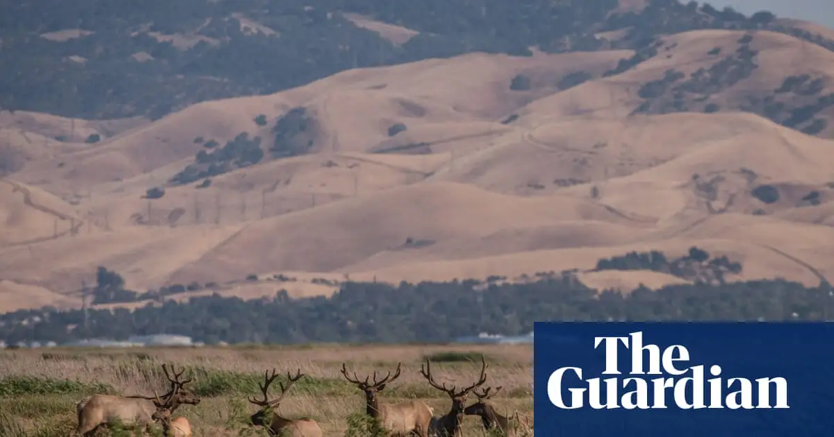 Silicon Valley elites revealed as buyers of $800m of land to build utopian city