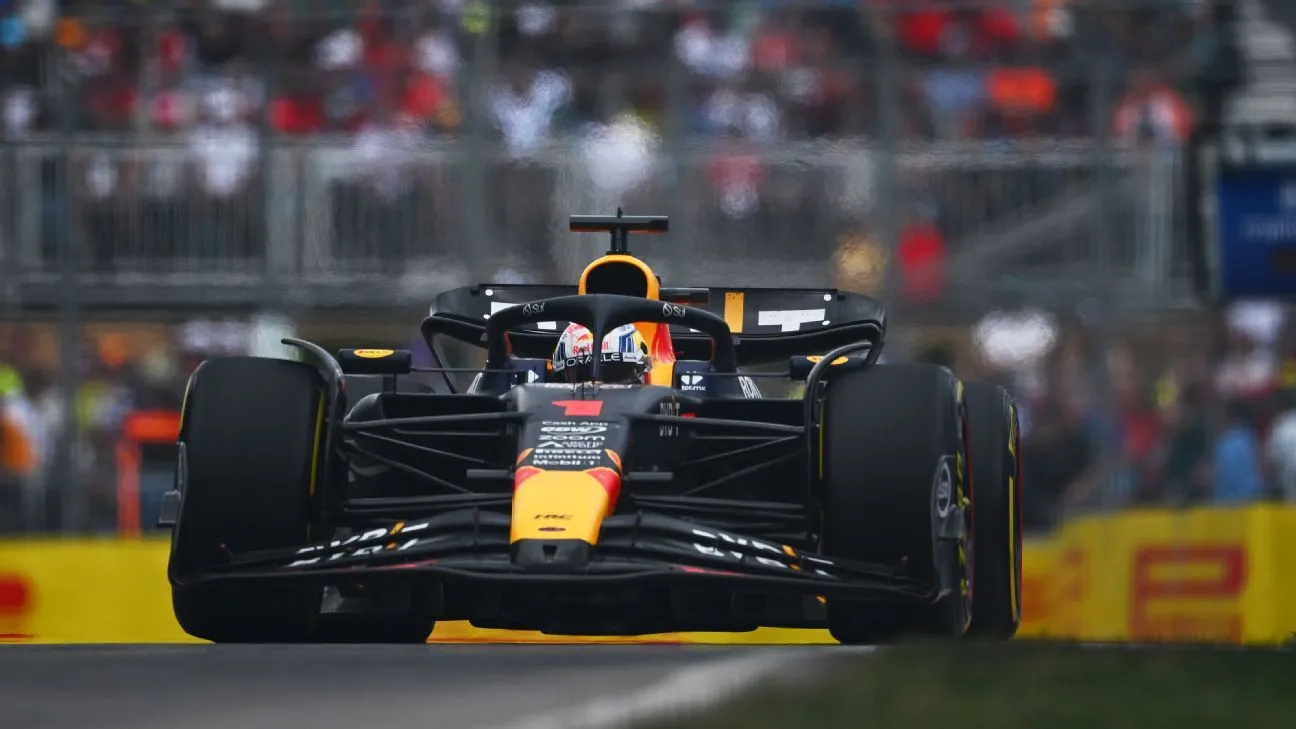 Verstappen won race with dead bird in brake duct