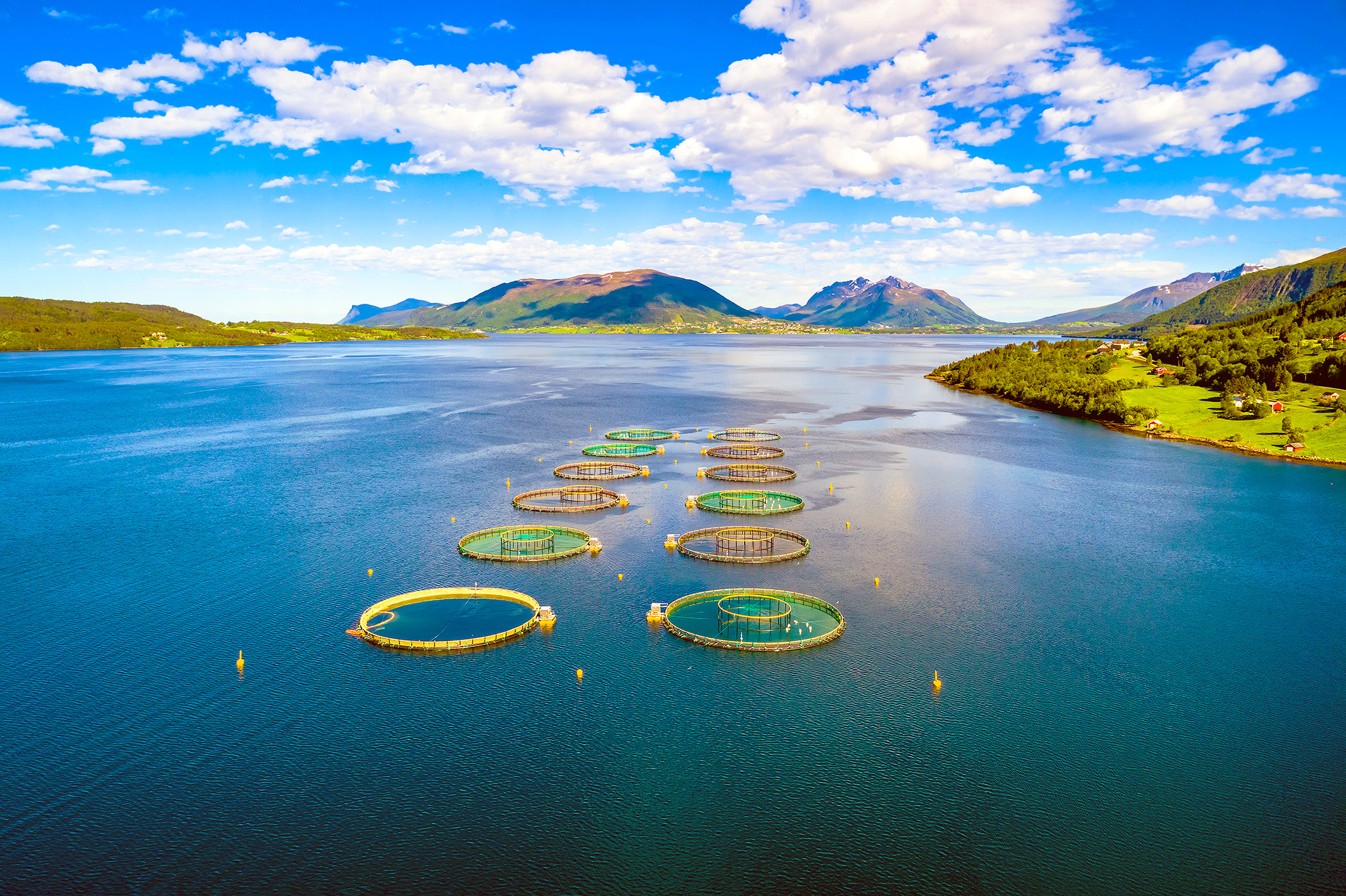 90% of the world’s aquaculture faces substantial risk from human-induced environmental changes