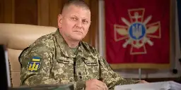 Ukrainian commander Zaluzhnyi preparing major 2024 counteroffensive