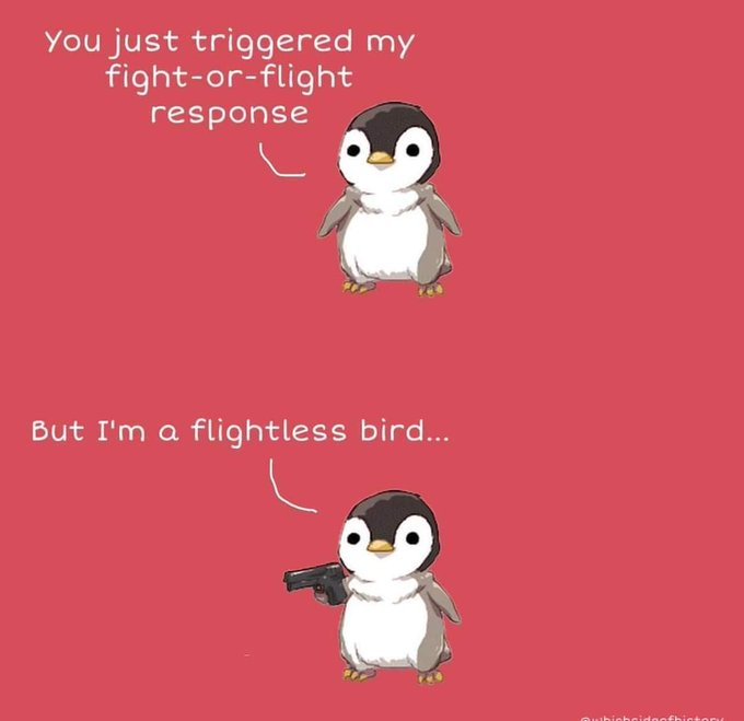 Penguins don't fuck around