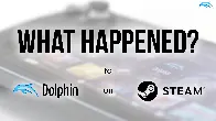 What Happened to Dolphin on Steam?