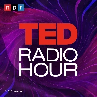 The Future of Sustainability: Repair, repurpose, reimagine — TED Radio Hour