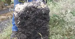 Donegal farmer uncovers 22kg slab of ancient bog butter