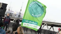 Antisemitismus bei „Fridays For Future“: Der Aktivist, der die Hassposts durchsetzte