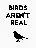 birdsarentreal