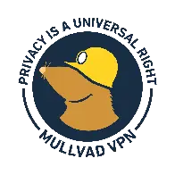 Mullvad will no longer be able to accept DKK from its customers