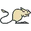 jerboa