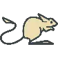 jerboa