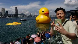 Enorme 'Nederlandse' badeend in haven Hongkong na 1 dag al leeggelopen