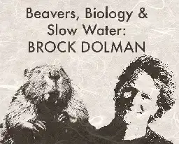 Beavers, biology,& slow water: Brock Dolman
