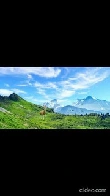 Deer In The Mountains, With Butterflies (animated)