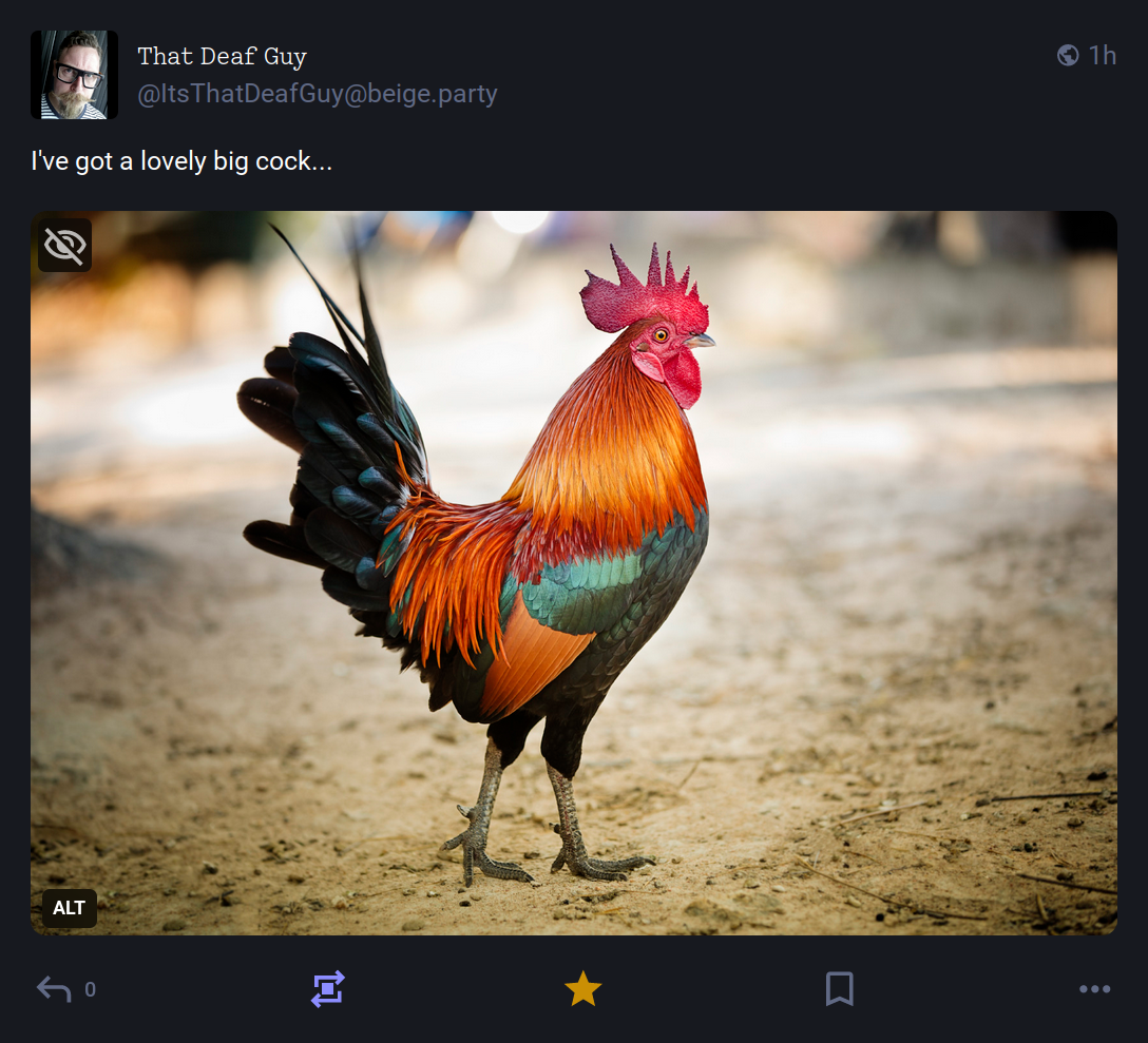 Post from That Deaf Guy on Mastodon, reading "I've got a lovely big cock". This is followed by a photo of a large rooster.