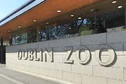 Dublin Zoo cleared of 17 animal welfare allegations following full investigation