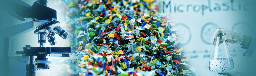 Microplastics Make Their Way from the Gut to Other Organs, UNM Researchers Find