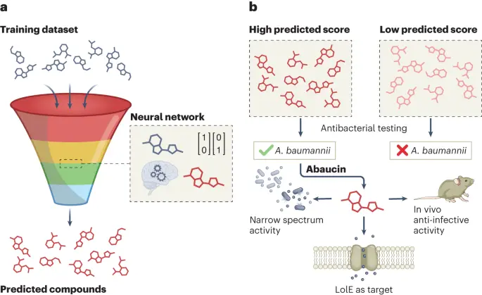 Antibiotic identified by AI - Nature Chemical Biology