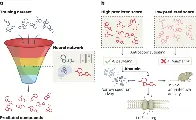 Antibiotic identified by AI