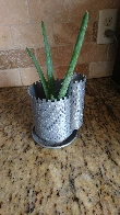 Castle Planter