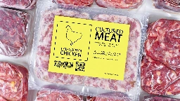 Lab-grown meat is now approved for sale in the US. Will it help the climate?