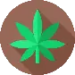 maconha