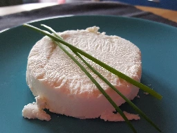 Fermented Vegan Cheese Base - Your Cultured Vegan Cheese Guide