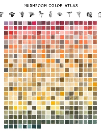 Home: Mushroom Color Atlas