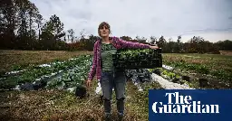 Back to the land: are young farmers the new starving artists?