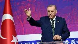 'Israel committing crimes against humanity:' Erdogan