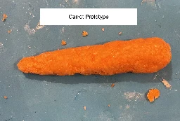 A new kind of 3D-printed carrot, in the words of its Qatar-based inventors