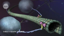 Powerful microscope captures motor proteins in unprecedented detail