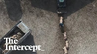 Hidden Video Reveals Gruesome Mass-Extermination Method for Iowa Pigs During Pandemic