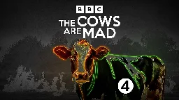BBC Radio 4 - The Cows Are Mad