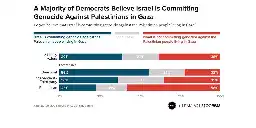 EXCLUSIVE: A Majority of Democratic Voters Believe Israel Is Committing Genocide