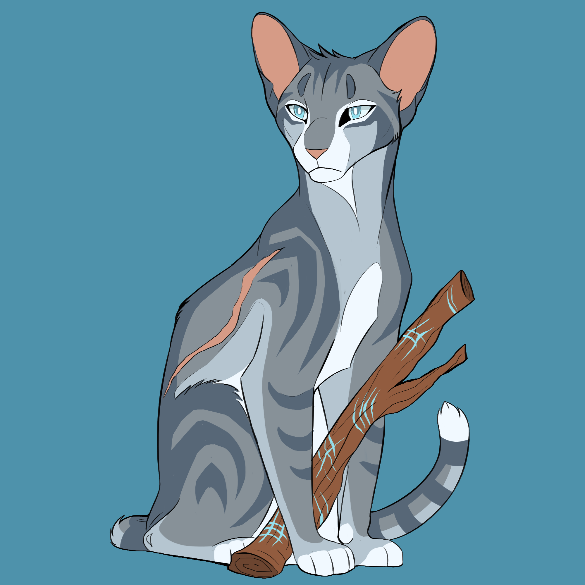Jayfeather from Warrior Cats
