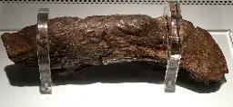 Lloyds Bank coprolite - Wikipedia