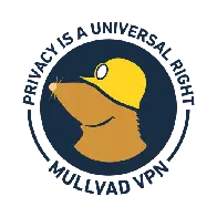 Mullvad plans to remove support for OpenVPN in little over a year, on 2026-01-15