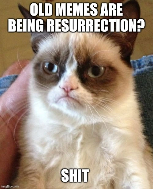 Grumpy Cat